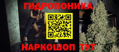 индика Аргун
