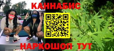 индика Аргун