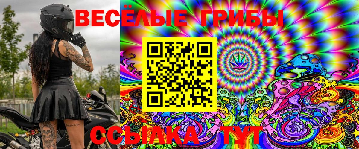 Псилоцибиновые грибы Cubensis Берёзовский