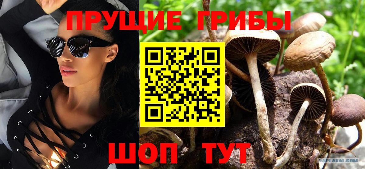 Берёзовский  Псилоцибиновые грибы мицелий  Вход с VPN 