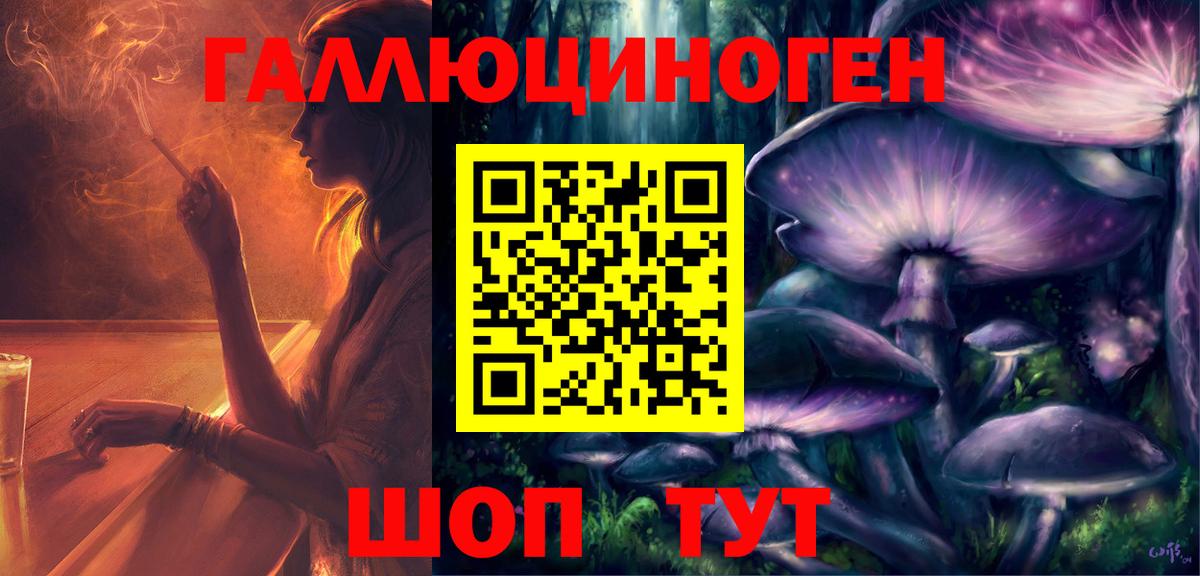 Галлюциногенные грибы Psilocybine cubensis Берёзовский