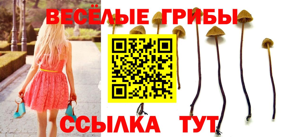 Берёзовский  Галлюциногенные грибы GOLDEN TEACHER  Вход с VPN 